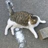 èŒç©º profil fotoÄrafı
