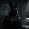 TheBlackRabbit 🔍's profile picture