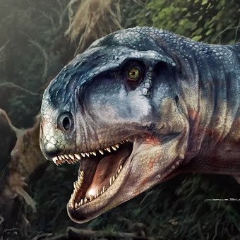 Chicxulub 希克苏鲁伯's profile picture