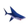✩'s profile picture