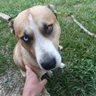 Robert Seegers's profile picture
