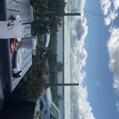 Stainlesz05's profile picture
