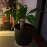 Фото профиля gonzalo
