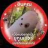 Mupink_1 的头像