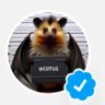 Gheorghe B.🌐's profile picture