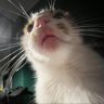 umm.'s profile picture