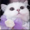 ˚ʚ꒰ 🍓ฟจ๋ 🎀 ꒱ɞ˚ 的头像