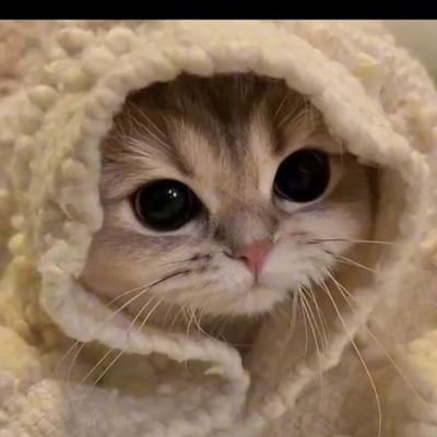 12_Dr1u's profile picture