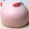 Profilbild von 桜マン