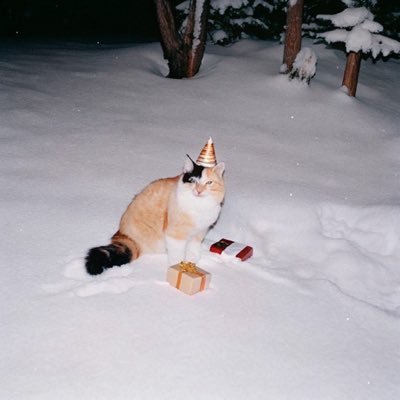_AngelHera's profile picture