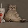 Colonel Cowboy (feelin fat)'s profile picture