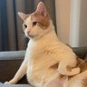 inztinto's profile picture