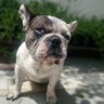 Méřçì's profile picture