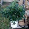 Фото профиля HeavyJ519