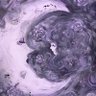 جمان's profile picture