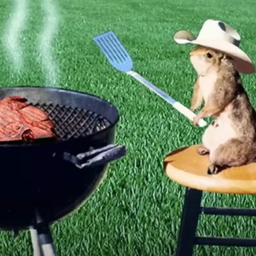 shelby cole's profile picture