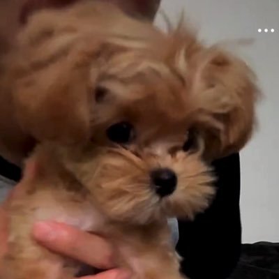 angelina˚ ༘♡'s profile picture
