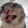 Val profil fotoğrafı