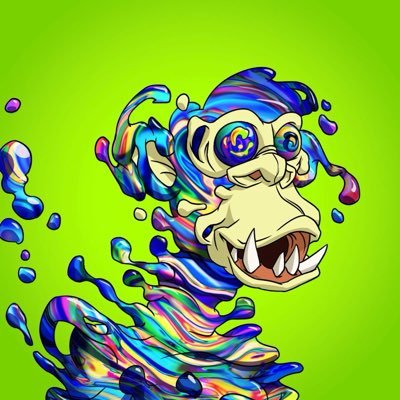 Lior Messika's profile picture