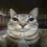 Profilbild von sei lákkkk
