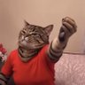 aydan's profile picture
