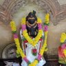 Kalakeyan's profile picture