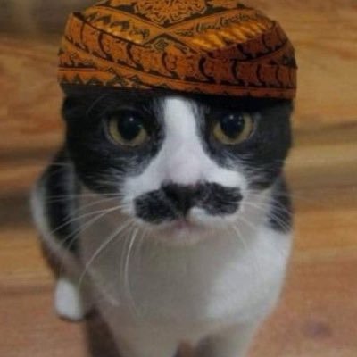 cingkonoha's profile picture