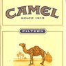 キャメル（CAMEL）'s profile picture