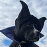 Coda's profile picture