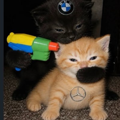 The Bimmer Guy 🚘's profile picture