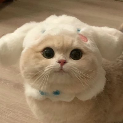 woowoo's profile picture