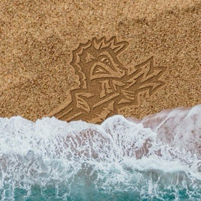 Norfolk Tides's profile picture