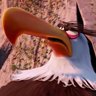 no's profile picture