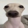 Profilbild von Syphon