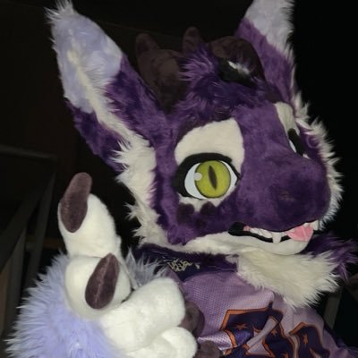 sunnyfurr's profile picture