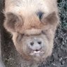 Parteilos ♂️'s profile picture