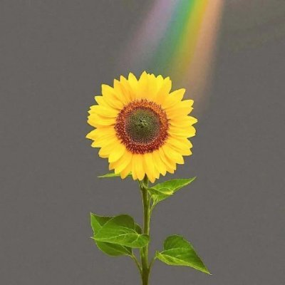 TaylorD05095002's profile picture