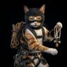 Chat-pardeur's profile picture