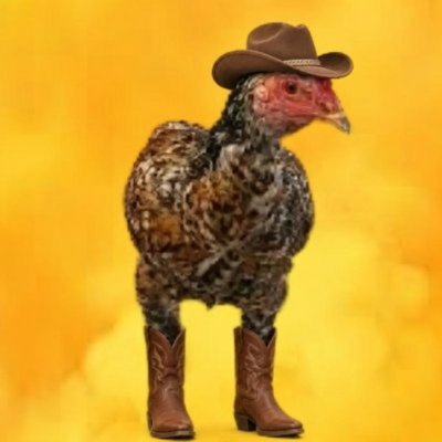 theo's profile picture