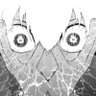 Profilbild von igmut