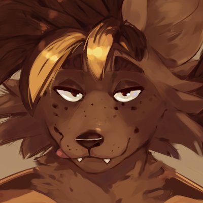 finn's profile picture