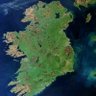Alacoque Maguire's profile picture
