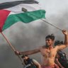 Seattle 🇵🇸 profil fotoğrafı