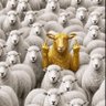 M ALIYU's profile picture