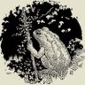 Фото профиля 𓍊𓋼 Lucky Toad 𓋼𓍊