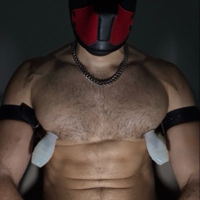 Dante Romanov's profile picture