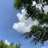 سَمَاء 的头像
