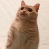 lu's profile picture