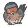 Profilbild von carbi_man𓆩⍟𓆪