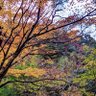 Фото профиля 日比野
